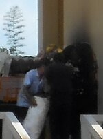DSCN1416~5.JPG