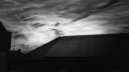 20260808_204356(1).jpg