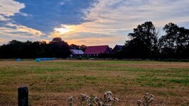 20260804_071122.jpg