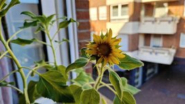 20260809_075952.jpg