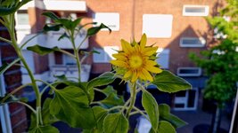 20260809_075931.jpg