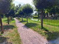 20260809_134337.jpg