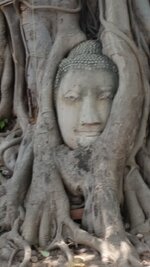 20160507_120106.jpg