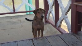 20160507_153812.jpg