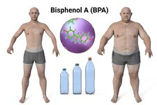 The-impact-and-prevention-of-BPA-scaled.jpg