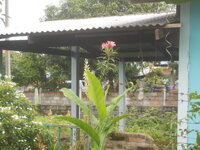 DSCN1571.JPG