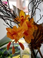 IMG_20260810_115536.jpg