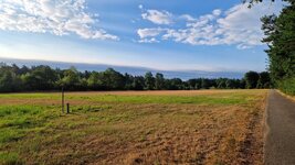 20260805_075249.jpg