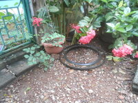 DSCN1559.JPG DSCN1559.JPG