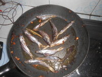 DSCN1860.JPG