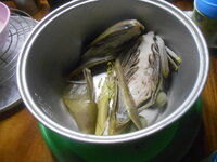 DSCN1868.JPG