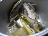 DSCN1869.JPG