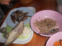 DSCN1871.JPG