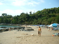 strand.JPG strand.JPG