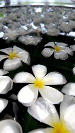 IMG_5150.jpeg
