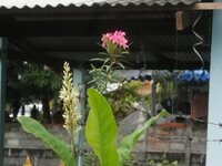 DSCN1536~2.JPG