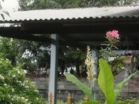DSCN1537~2.JPG