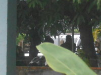 DSCN1540.JPG