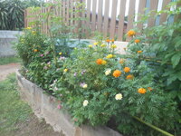 DSCN1016.JPG