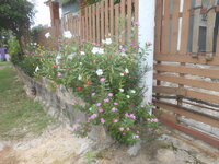 DSCN1013.JPG