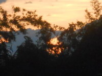 DSCN1745.JPG