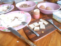 DSCN1652.JPG