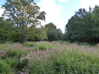 Duitsland-Hamm ''Maxipark'' (10).JPG