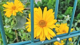 20260813_091625.jpg