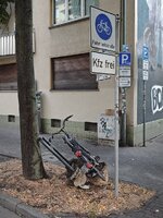 IMG_20260812_060431.jpg