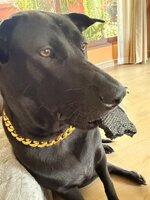 IMG_9273.jpeg