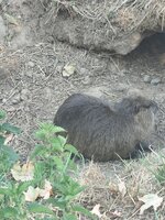IMG_20260814_095027.jpg