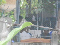 DSCN1538.JPG