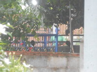 DSCN1541.JPG