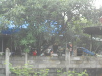 DSCN1545.JPG