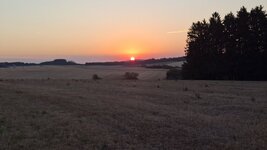 20260815_062907.jpg