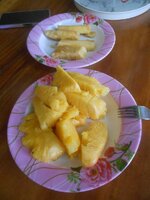 DSCN1600~2.JPG