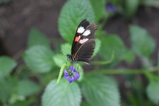 Duitsland-Hamm ''Maxipark'' (47).JPG