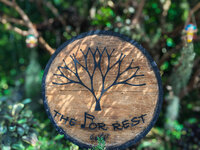 20260816_211346_410.jpg