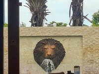 20260809_100622.jpg