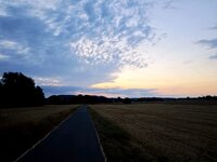 IMG_20260817_144527.jpg