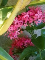 DSCN1366~2.JPG