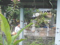 DSCN1563.JPG