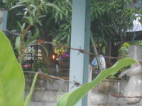 DSCN1564.JPG