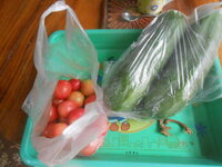 DSCN1575.JPG