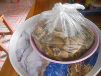 DSCN1577.JPG