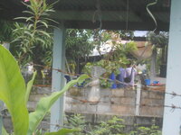 DSCN1572.JPG