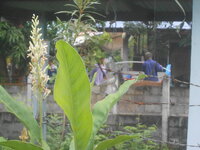 DSCN1574.JPG