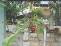 DSCN1584.JPG