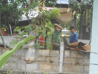 DSCN1585.JPG