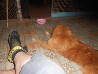 DSCN1946.JPG